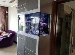 Sunhaven (D16), Condominium #629316191